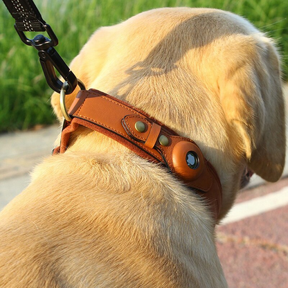 Leather AirTag Dog Collar