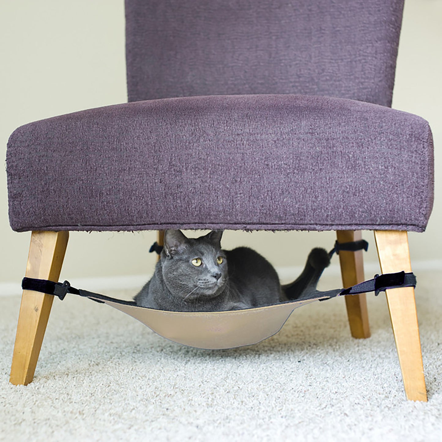 Cat Chair Hammock
