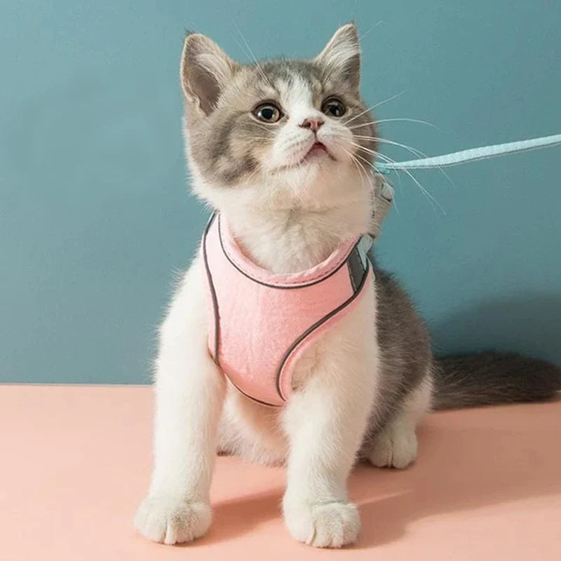 Cat Vest Harness Leash Set