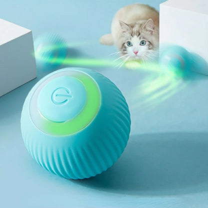 Rolling Ball Cat Toy